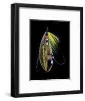 Atlantic Salmon Fly designs 'Green Highlander'-Darrell Gulin-Framed Photographic Print