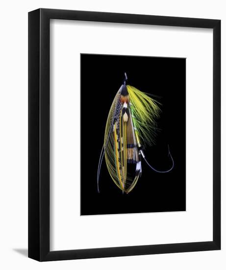 Atlantic Salmon Fly designs 'Green Highlander'-Darrell Gulin-Framed Photographic Print