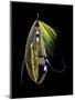 Atlantic Salmon Fly designs 'Green Highlander'-Darrell Gulin-Mounted Photographic Print