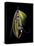 Atlantic Salmon Fly designs 'Green Highlander'-Darrell Gulin-Stretched Canvas