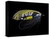 Atlantic Salmon Fly designs 'Highland Gem'-Darrell Gulin-Stretched Canvas