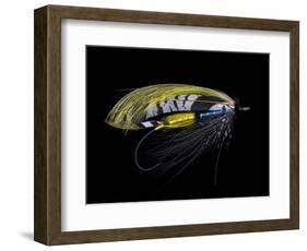 Atlantic Salmon Fly designs 'Highland Gem'-Darrell Gulin-Framed Photographic Print