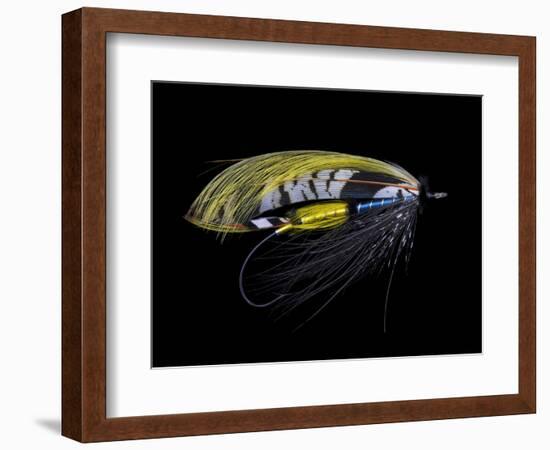 Atlantic Salmon Fly designs 'Highland Gem'-Darrell Gulin-Framed Photographic Print