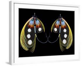 Atlantic Salmon Fly designs 'Western Illusion'-Darrell Gulin-Framed Photographic Print