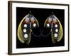 Atlantic Salmon Fly designs 'Western Illusion'-Darrell Gulin-Framed Photographic Print