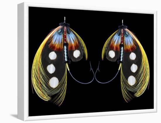 Atlantic Salmon Fly designs 'Western Illusion'-Darrell Gulin-Framed Photographic Print