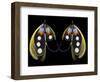 Atlantic Salmon Fly designs 'Western Illusion'-Darrell Gulin-Framed Photographic Print