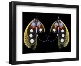 Atlantic Salmon Fly designs 'Western Illusion'-Darrell Gulin-Framed Photographic Print