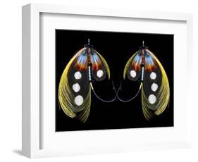 Atlantic Salmon Fly designs 'Western Illusion'-Darrell Gulin-Framed Photographic Print