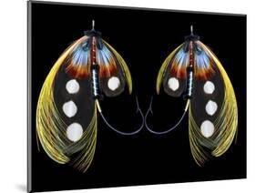 Atlantic Salmon Fly designs 'Western Illusion'-Darrell Gulin-Mounted Photographic Print