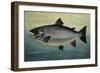 Atlantic Salmon-Porter Design-Framed Giclee Print