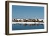 Atlantic Walrus-Louise Murray-Framed Photographic Print