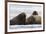 Atlantic walruses, Vibebukta, Austfonna, Nordaustlandet, Svalbard Islands, Norway.-Sergio Pitamitz-Framed Photographic Print