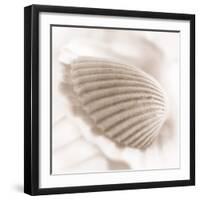 Atlantis 3-Alan Blaustein-Framed Photographic Print