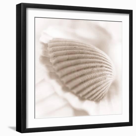 Atlantis 3-Alan Blaustein-Framed Photographic Print