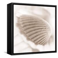 Atlantis 3-Alan Blaustein-Framed Stretched Canvas