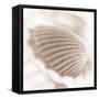 Atlantis 3-Alan Blaustein-Framed Stretched Canvas