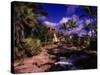 Atlantis Hotel and Resort, Paradise Island-Angelo Cavalli-Stretched Canvas