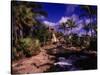 Atlantis Hotel and Resort, Paradise Island-Angelo Cavalli-Stretched Canvas