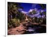 Atlantis Hotel and Resort, Paradise Island-Angelo Cavalli-Framed Photographic Print