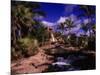 Atlantis Hotel and Resort, Paradise Island-Angelo Cavalli-Mounted Photographic Print