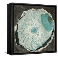 Atlantis II-Alicia Ludwig-Framed Stretched Canvas