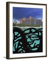 Atlantis, Paradise Island, Bahamas, Central America-Ethel Davies-Framed Photographic Print