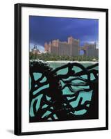 Atlantis, Paradise Island, Bahamas, Central America-Ethel Davies-Framed Photographic Print