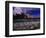 Atlantis Resort, Paradise Island, Bahamas-Angelo Cavalli-Framed Photographic Print