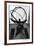 Atlas at Rockefeller Center-Laura Denardo-Framed Art Print