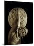 Atlas, Copy of a Greek Hellenistic Original-Roman-Mounted Giclee Print