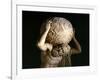 Atlas, Copy of a Greek Hellenistic Original-Roman-Framed Giclee Print