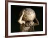 Atlas, Copy of a Greek Hellenistic Original-Roman-Framed Giclee Print