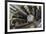 ATLAS Detector, CERN-David Parker-Framed Photographic Print