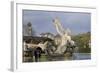 Atlas Fountain-John Thomas-Framed Giclee Print