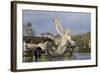 Atlas Fountain-John Thomas-Framed Giclee Print