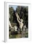 Atlas Fountain-John Thomas-Framed Giclee Print