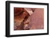 Atlatl Rock, Valley of Fire State Park, Overton, Nevada, United States of America, North America-Richard Cummins-Framed Photographic Print