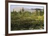 Atmospheric Expanse-Wild Wonders of Europe-Framed Giclee Print