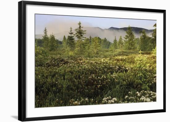 Atmospheric Expanse-Wild Wonders of Europe-Framed Giclee Print