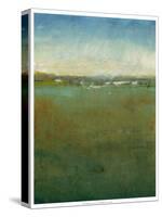 Atmospheric Field II-Tim O'toole-Stretched Canvas