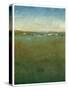 Atmospheric Field II-Tim O'toole-Stretched Canvas