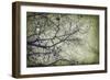 Atmospheric II-Anna Polanski-Framed Art Print