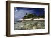 Atoll in French Polynesia-rafcha-Framed Photographic Print