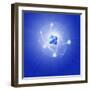 Atom, Artwork-Mehau Kulyk-Framed Premium Photographic Print