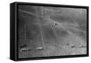 Framed Canvas