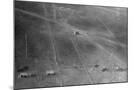 Wood Mount