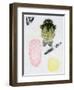 Atomic Bumblebee, 2013-Bella Larsson-Framed Giclee Print