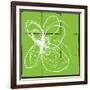 Atomic Floral Three-Jan Weiss-Framed Premium Giclee Print