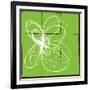 Atomic Floral Three-Jan Weiss-Framed Premium Giclee Print